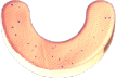 Illustration 12