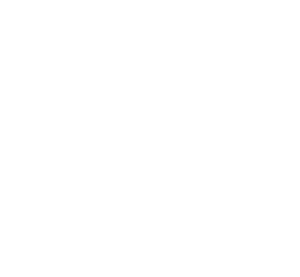 Logo-pictoBL festival arcomik picto